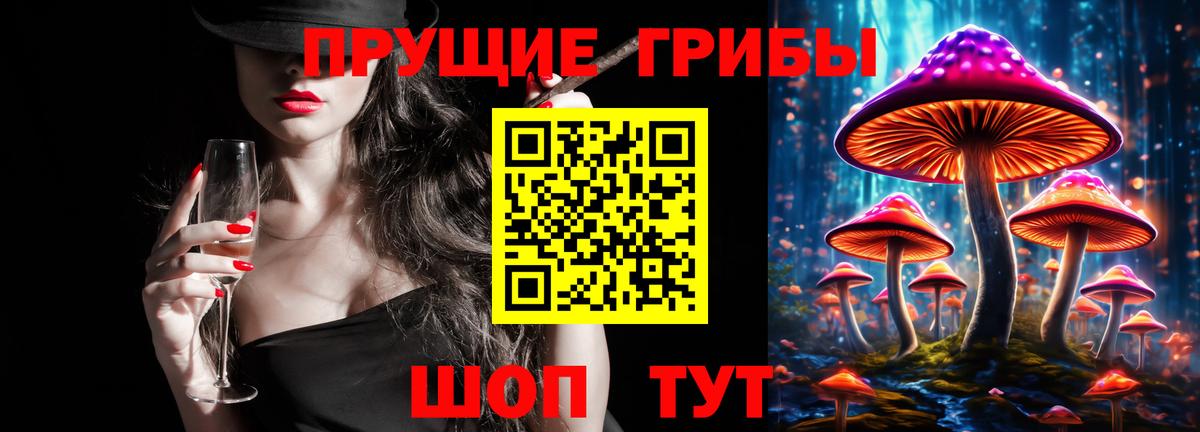 Галлюциногенные грибы Psilocybine cubensis  Вход с VPN  Реж  Псилоцибиновые грибы мухоморы 
